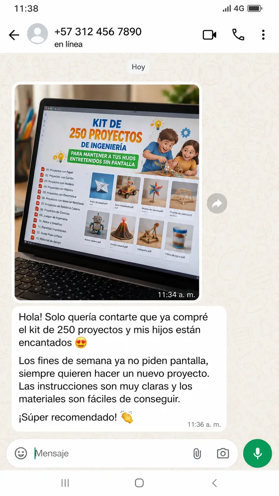 Testimonio de WhatsApp sobre el kit de 250 proyectos de ingeniería